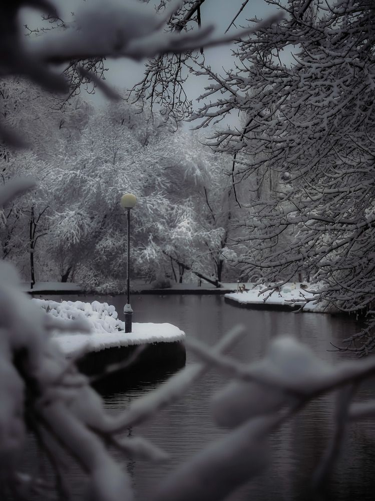 Photograph by Владимир Кульбит
