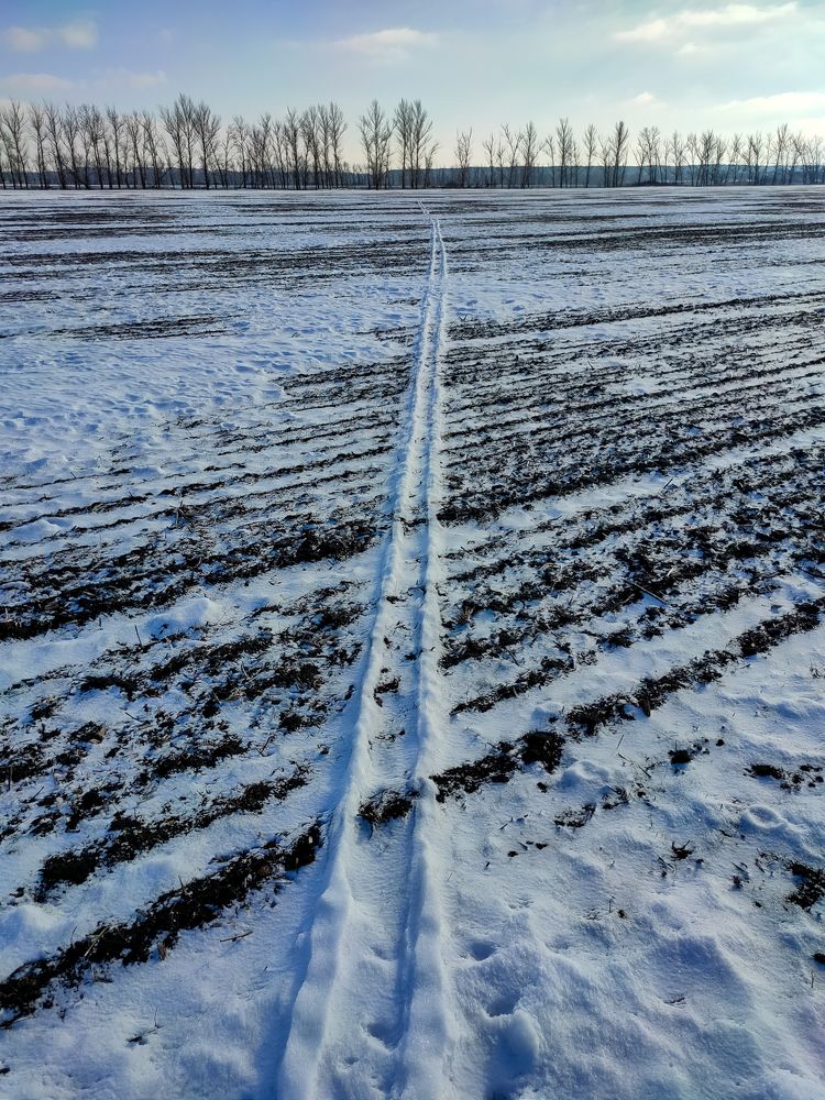 Photograph by Сергей Конюшенко