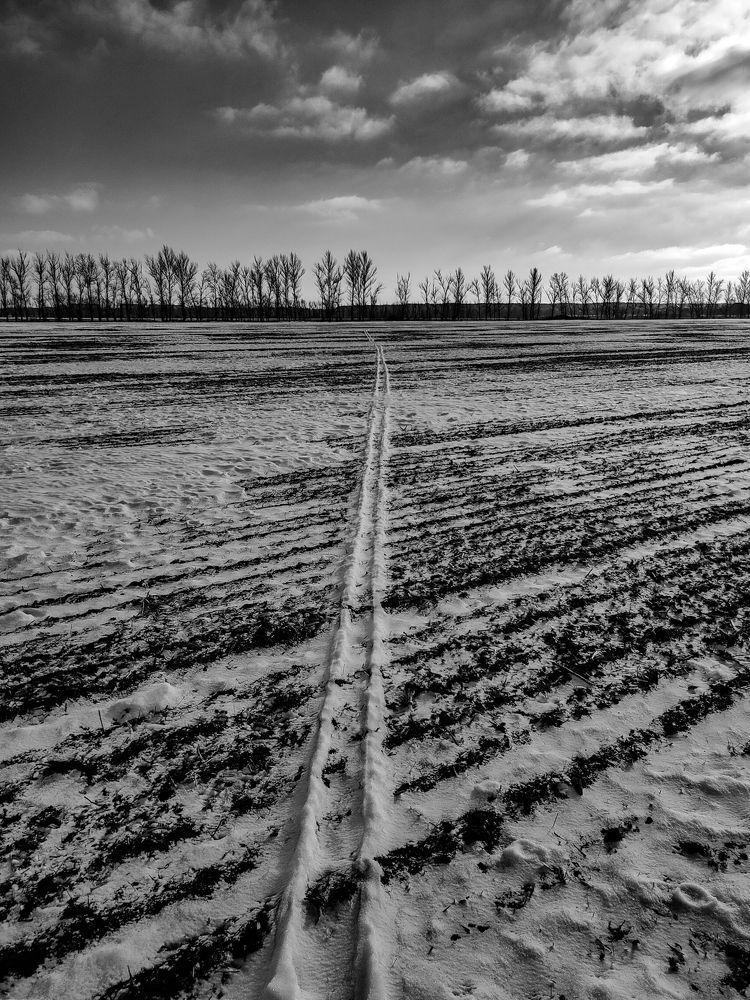 Photograph by Сергей Конюшенко