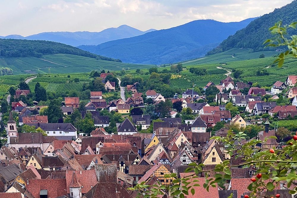 Фотография автора Сергей Гринис