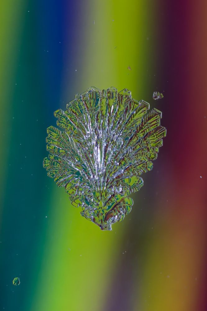 Photograph by Сергей Назаредский