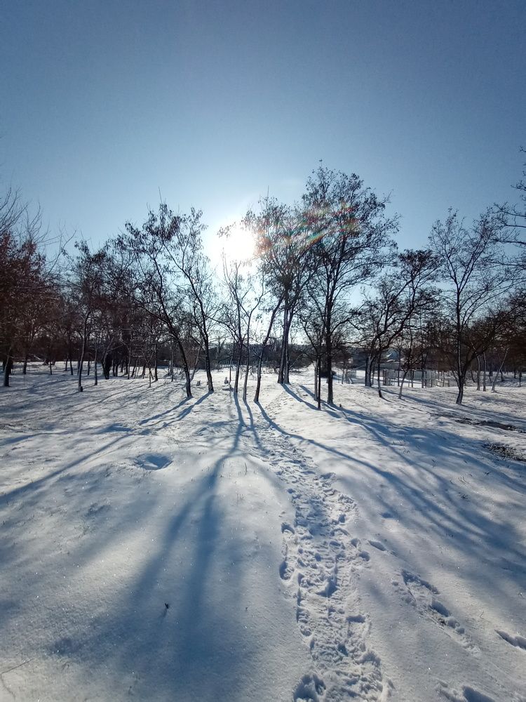 Photograph by Татьяна Пальчикова
