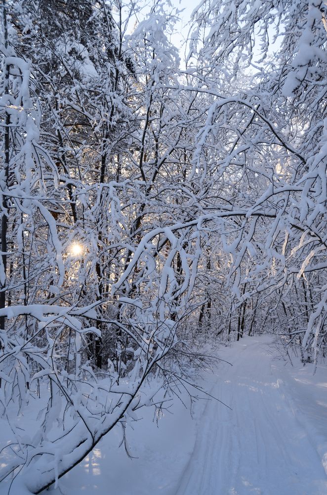 Фотография автора Вадим Писарев
