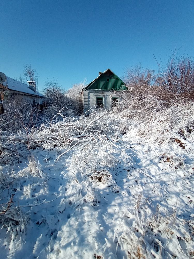 Photograph by Татьяна Пальчикова