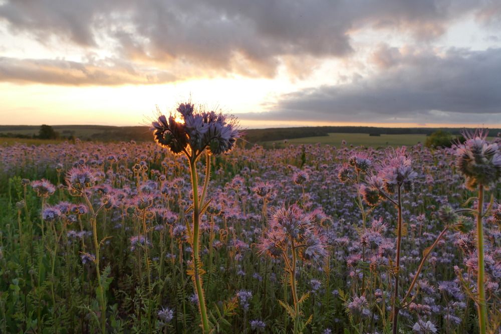 Photograph by Anastasia Perez