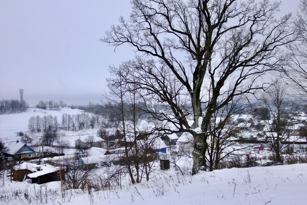 Photograph by Светлана Маримонова