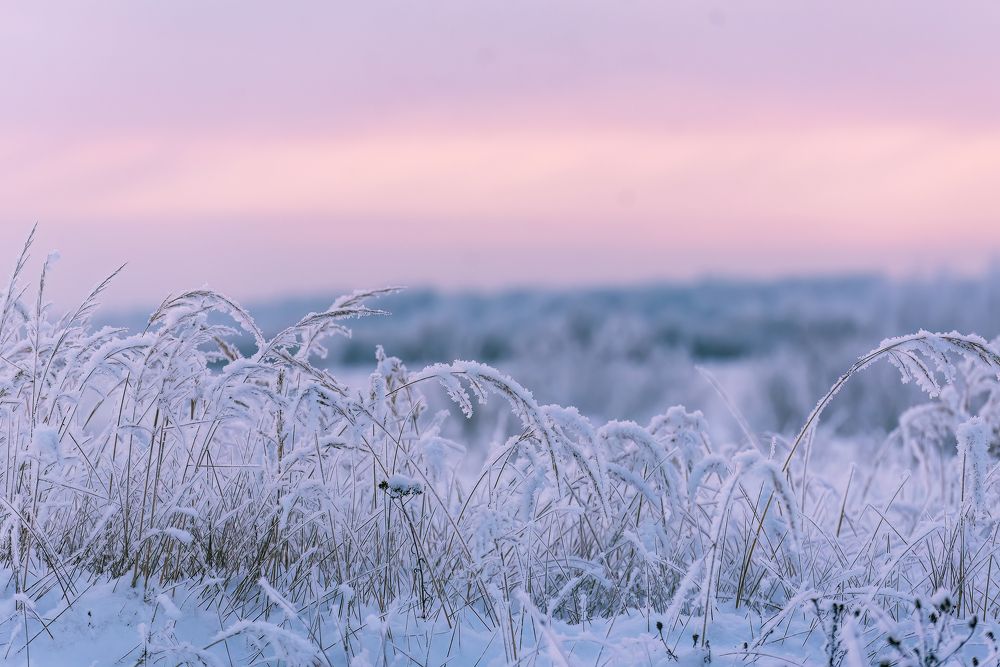 Фотография автора Ольга Фомичева