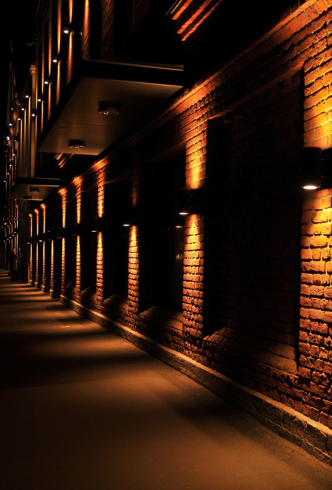 Фотография автора Дмитрий Герасимов