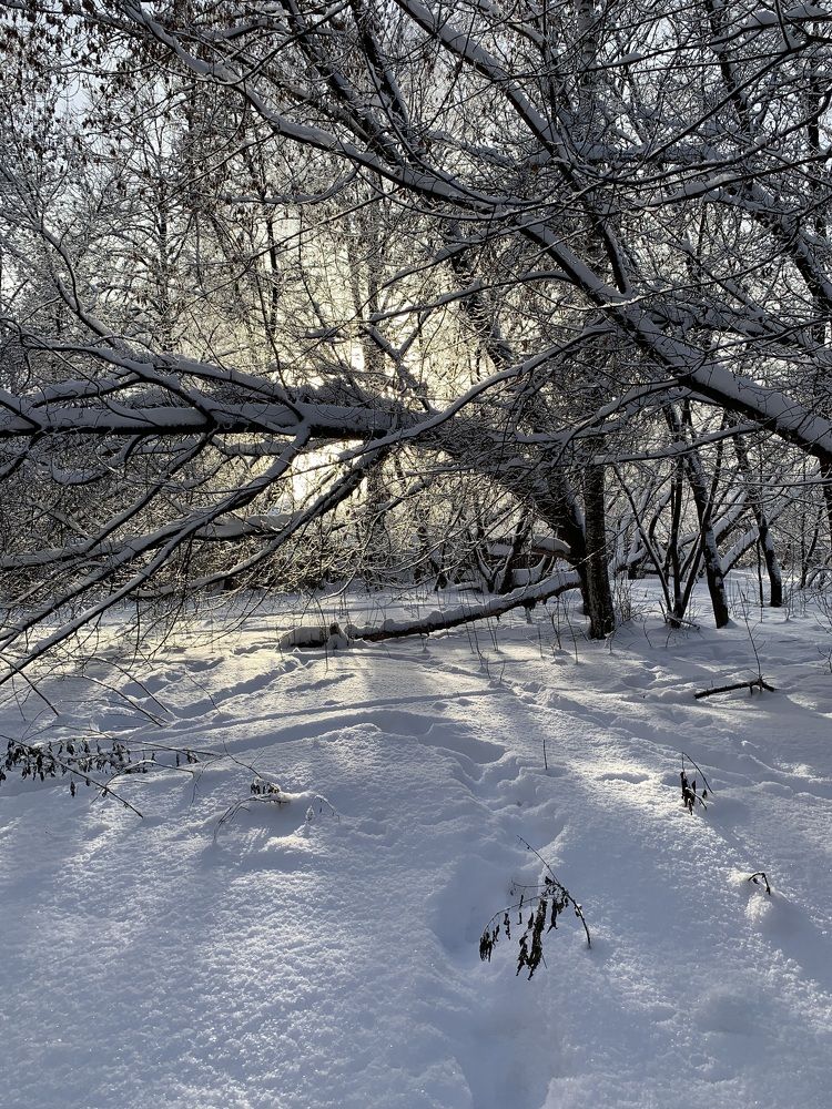 Photograph by Юлия Дубино