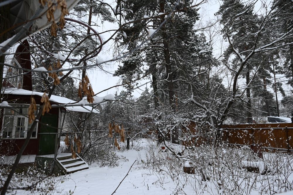 Photograph by Светлана Рубникович