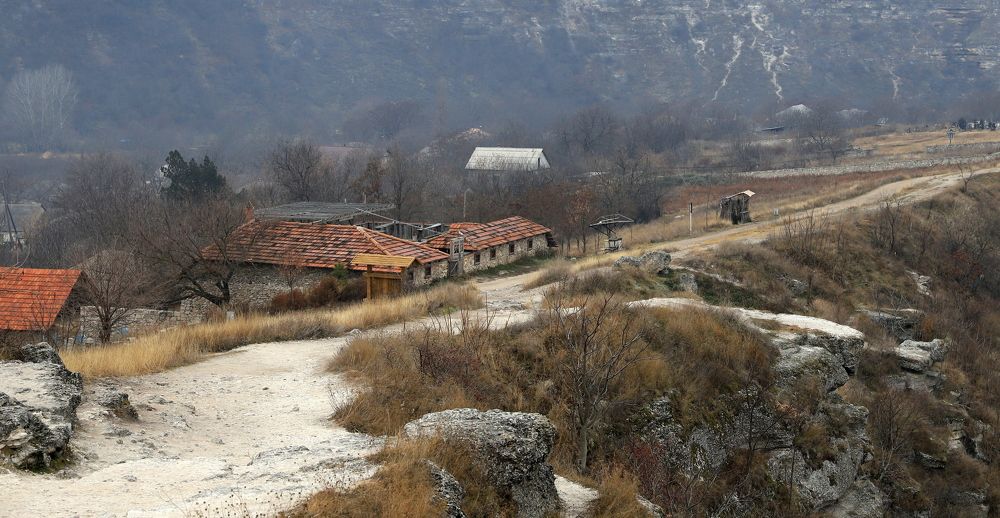 Photograph by елена