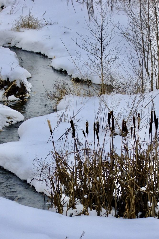 Photograph by Светлана Маримонова