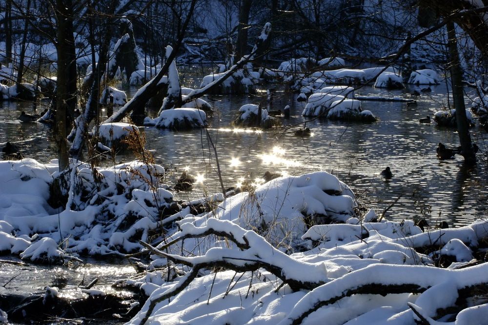 Photograph by Светлана Маримонова
