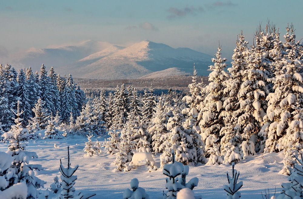 Photograph by Сергей Петров