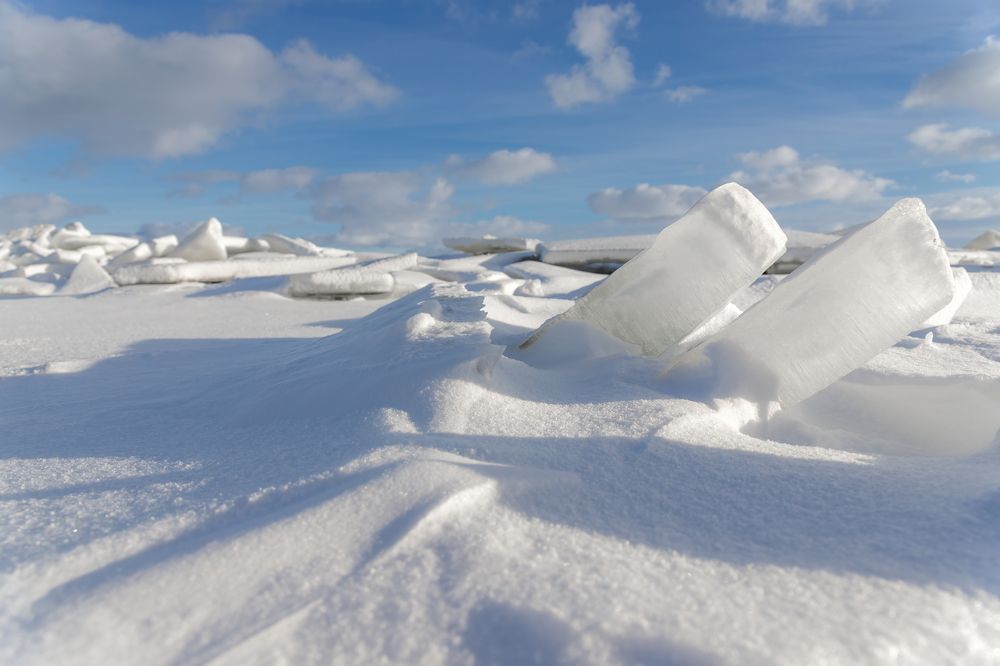 Фотография автора Alexander Pakhomov