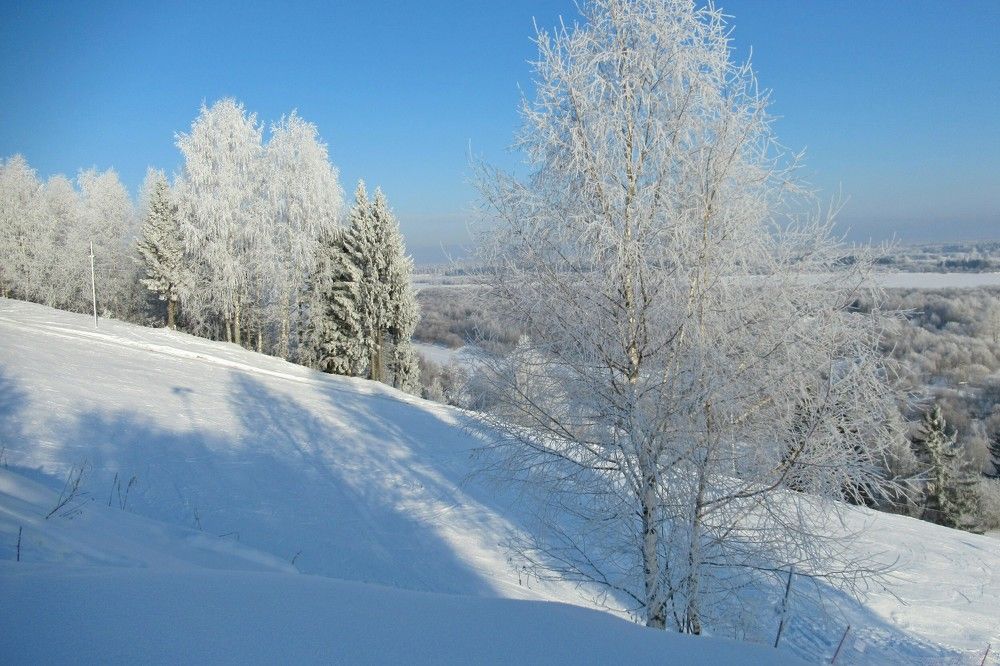 Photograph by Ольга Березовская