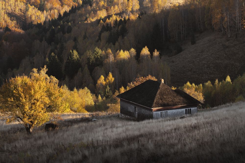 Photograph by Gabriela Vochescu