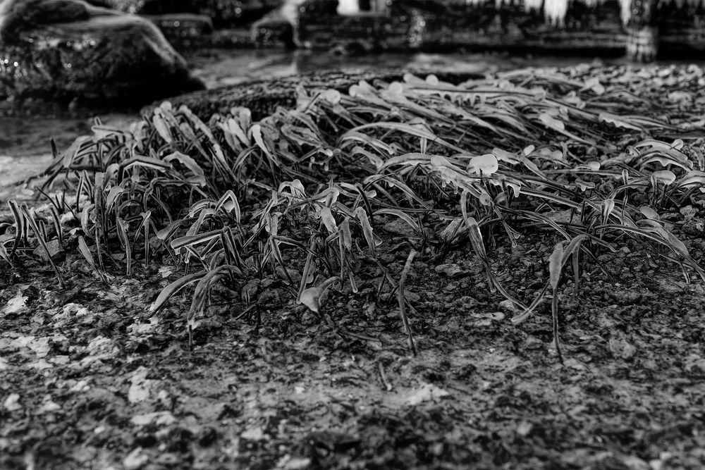 Photograph by Aleksei Degtjarjov