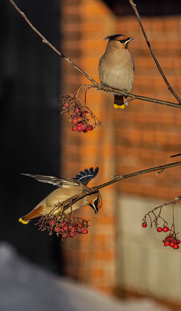 Photograph by Сергей Синягин