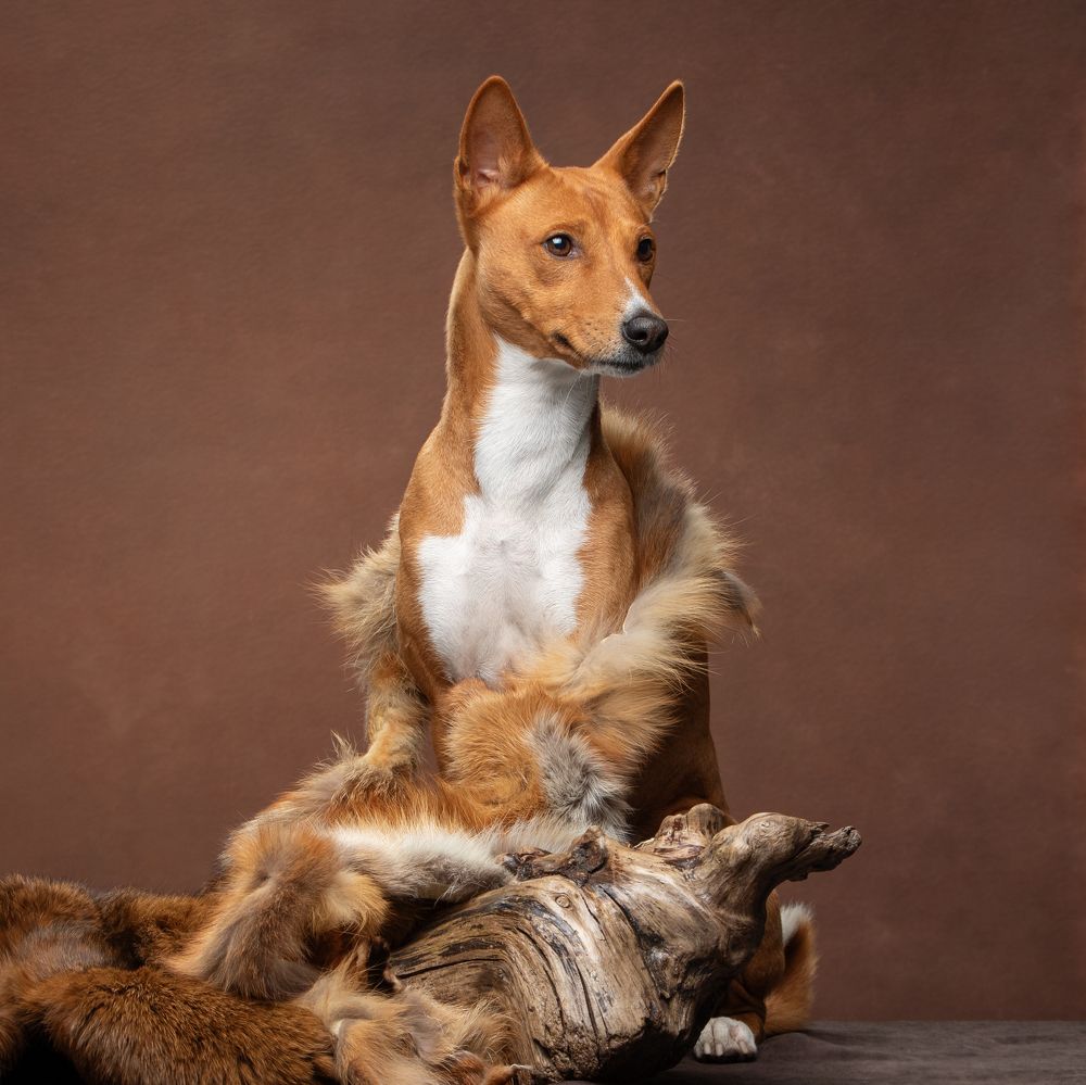 Photograph by Юлия Зубкова