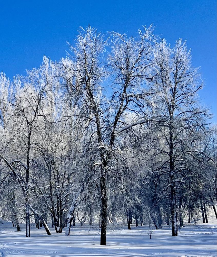 Photograph by Травин Олег