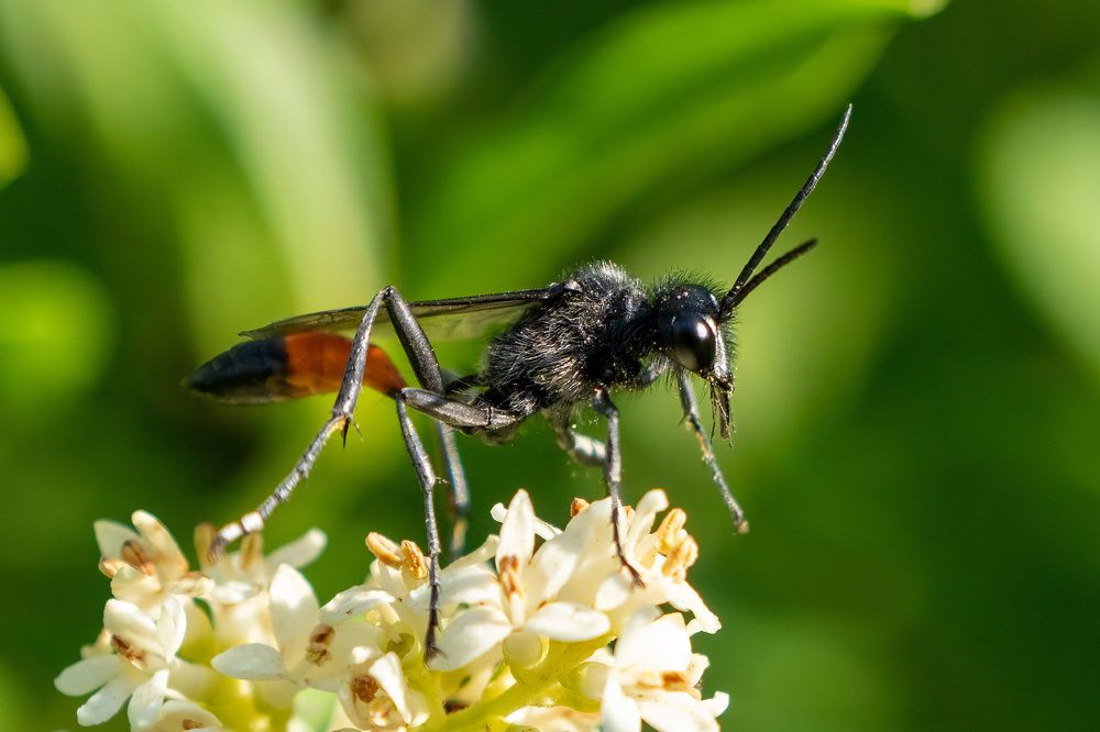 Фотография автора Ruslan Badykov