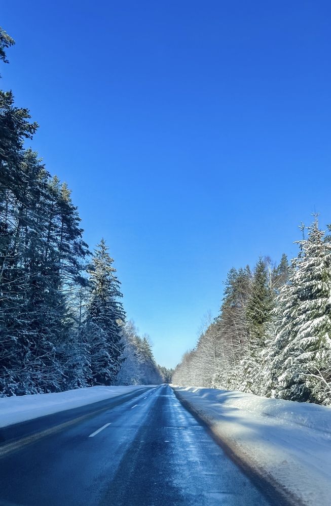 Photograph by Ольга Шведова