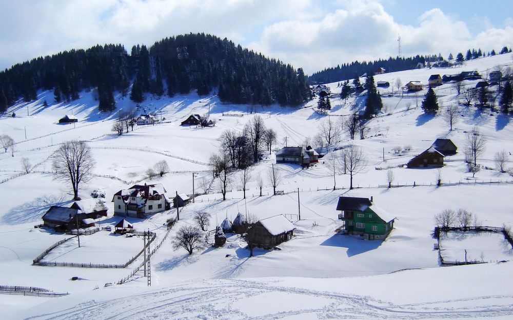 Winter in the country