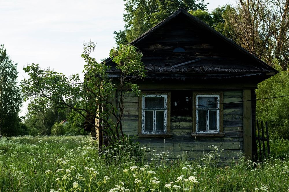Photograph by Татьяна Музыка