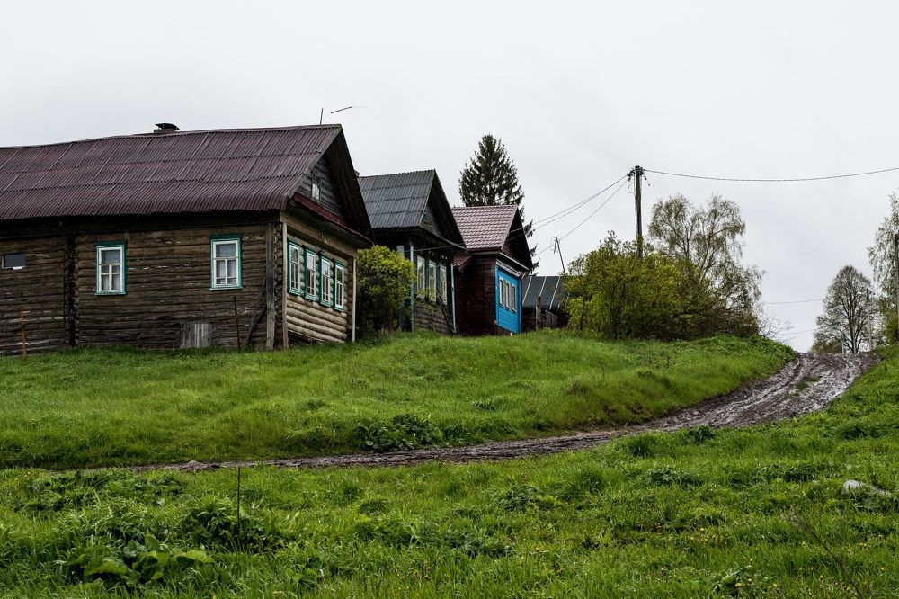 Photograph by Татьяна Музыка