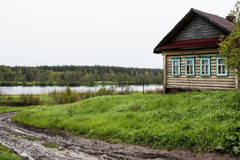 Photograph by Татьяна Музыка
