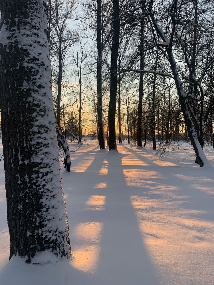 Фотография автора Ирина Шпаковская