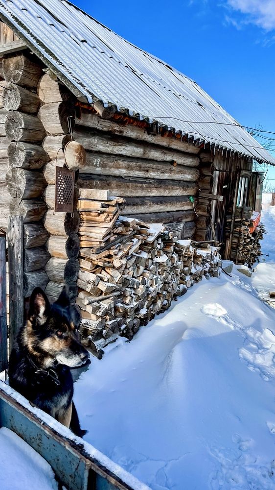 Photograph by Ольга Шведова