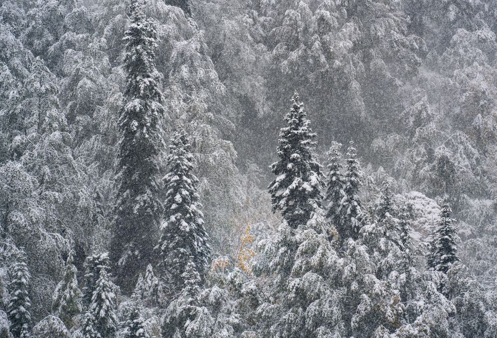 Photograph by Alexander Tsukanov