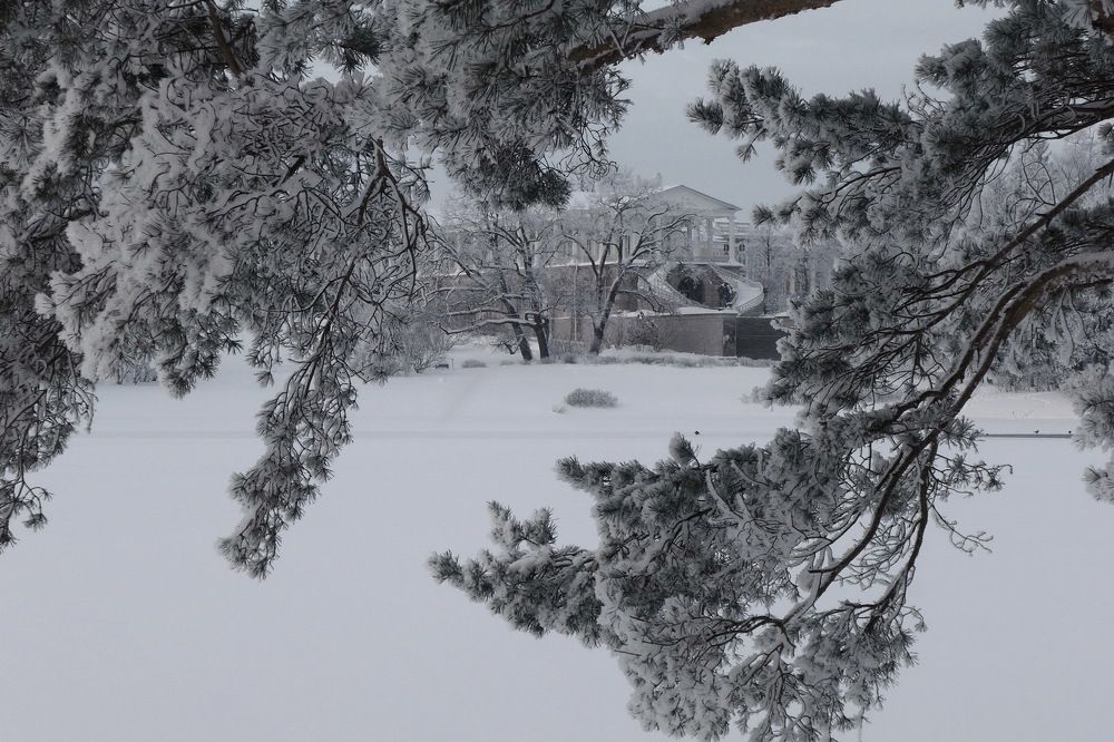 Photograph by Харис Шахмаметьев