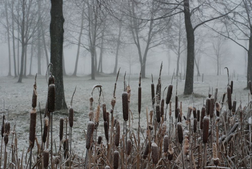 Photograph by Харис Шахмаметьев