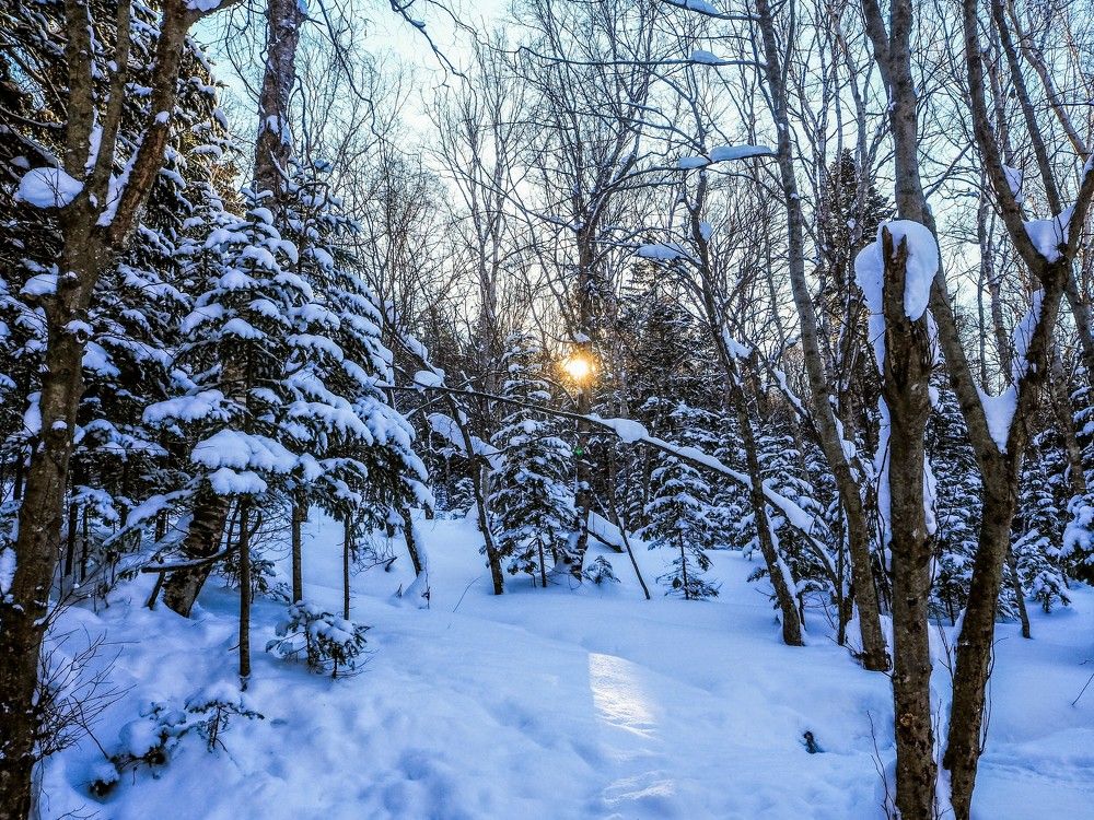 Фотография автора Olena Vorotyntseva