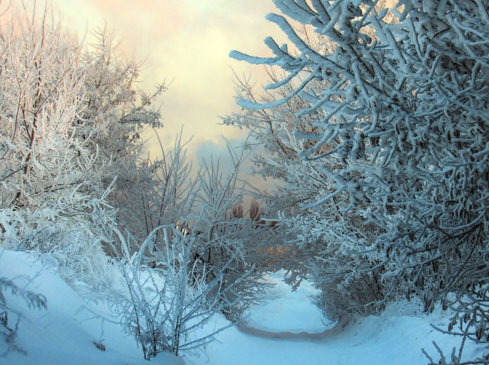 Photograph by Виктор Карпухин