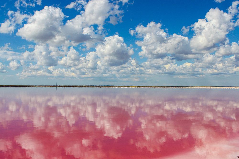 Photograph by Дмитрий Свинухов