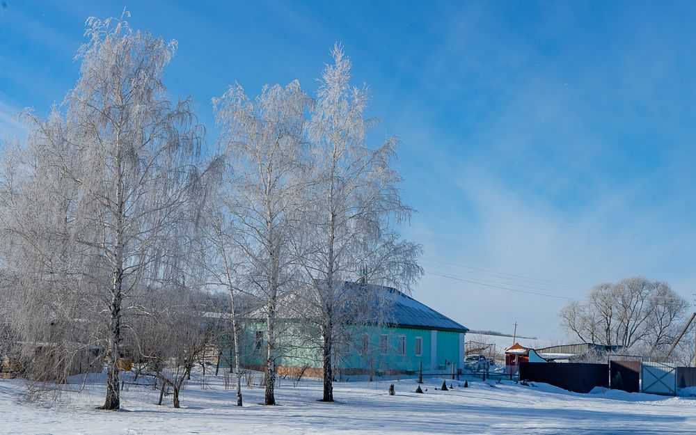 Фотография автора Николай Бологов