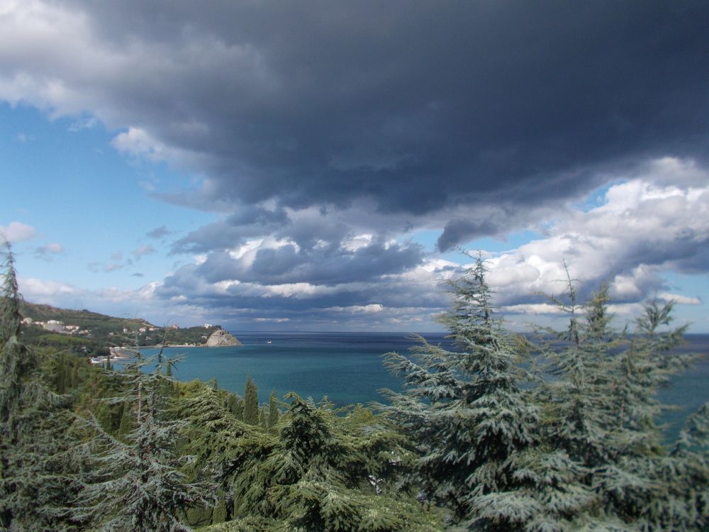 Photograph by Виктор Полуэктов