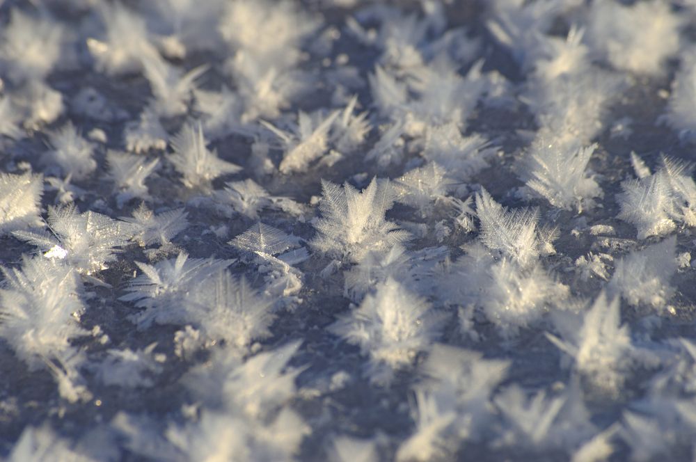 Photograph by Елена Кошелева