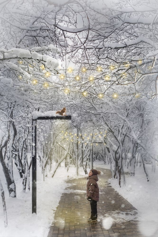 Photograph by Мария Криворотова