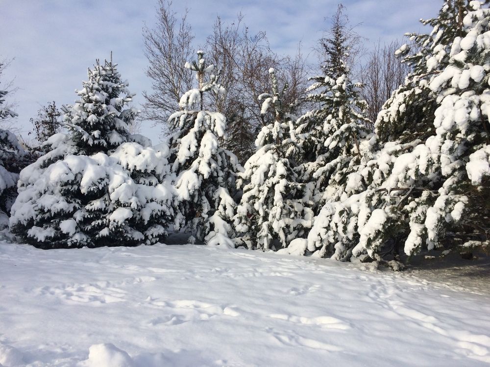 Photograph by Тамара Багровская