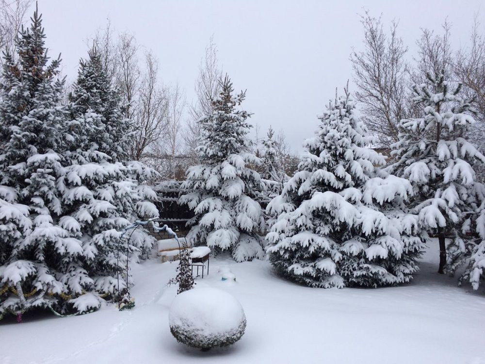 Photograph by Тамара Багровская