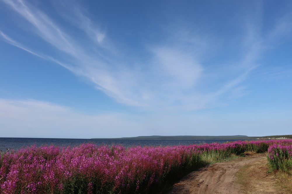 Photograph by Виктор Полуэктов