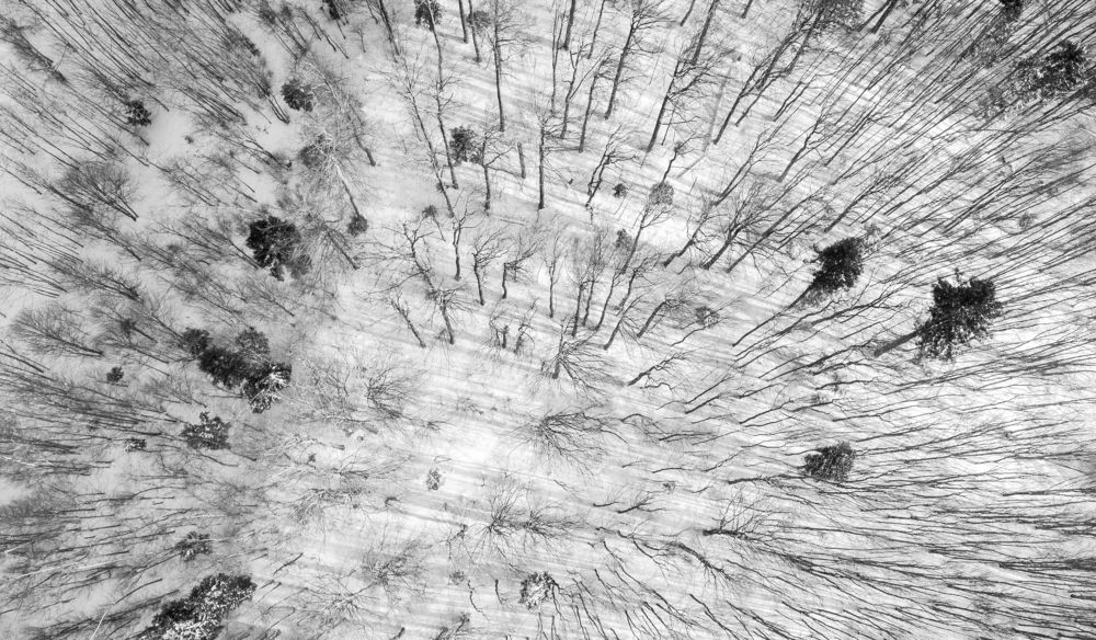 Photograph by Jasmina Ban