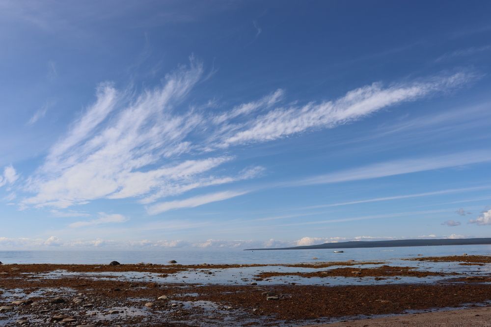 Photograph by Виктор Полуэктов