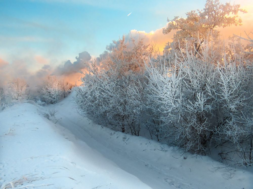 Photograph by Виктор Карпухин