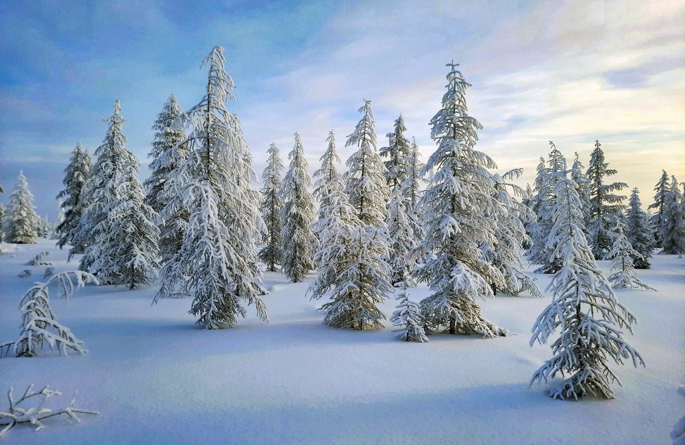 Photograph by Галина Искандарова